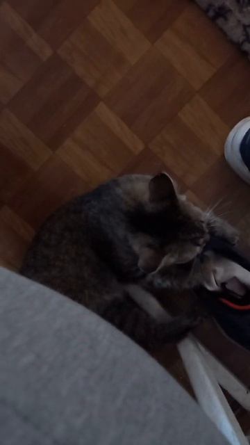 Женщина как граната смотреть онлайн