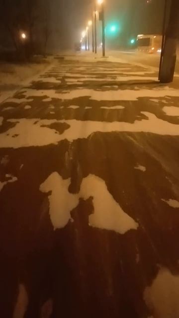 Метель , февраль 2025 #зима #погода #снег смотреть онлайн