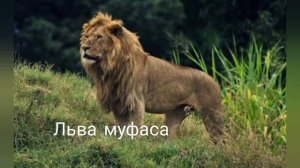 муфаса король лев 3