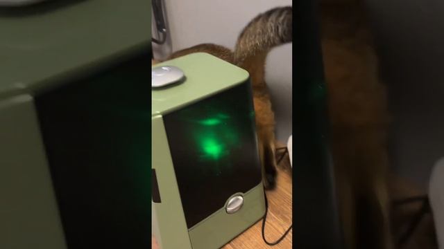 Часть 2 — обзор на Kitfort KT-3824 #Kitfort #БытоваяТехникаKitfort #о? смотреть онлайн