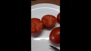 ЙЕТИНА МАТЬ- ТОМАТ ДЛЯ ЛЕНИВЫХ
РАСТЕТ В ЛЮБЫХ УСЛОВИЯХ