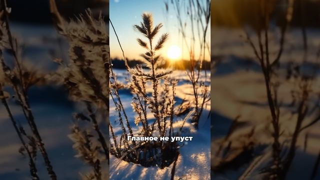 Взрывной успех на работе начиная с 11 января, ждет эти 4 смотреть онлайн