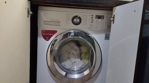 Стирка две подушки на LG F1089ND Хлопок быстро 40.С 1200об/мин