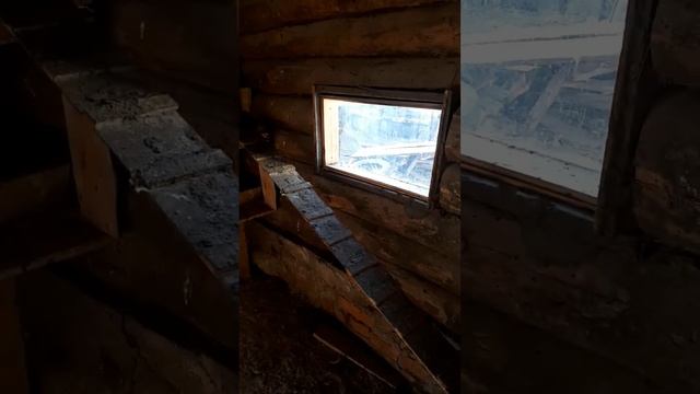 Мой курятник. Спустя 8 месяцев.
