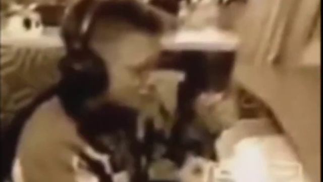 Ес минус 3. Прикол. Yes -3