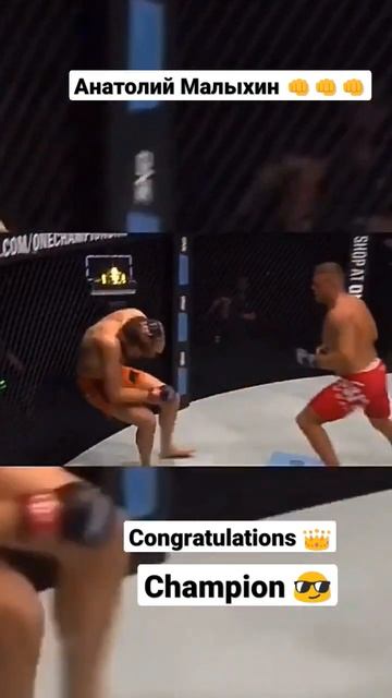 Анатолий Малыхин vs Ренье Де Риддер/ нокаут/ полутяжелы смотреть онлайн