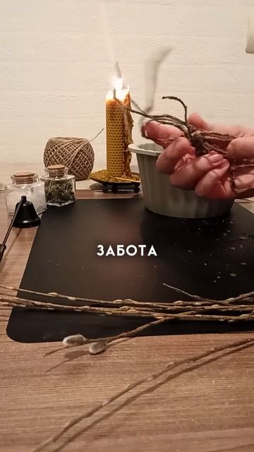 Это должно быть в домашней аптечке / Свечи программные смотреть онлайн