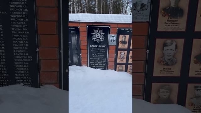 село Бабарыкино, Пензенская область (5.01.2025)