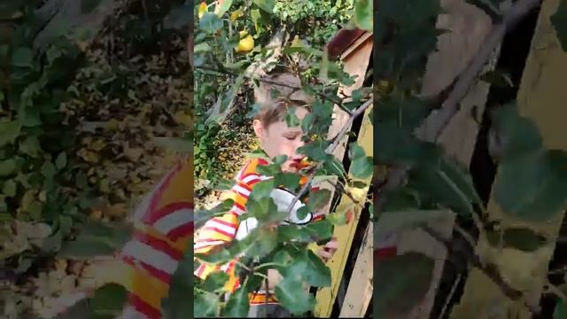 Курица на чугунной решетке смотреть онлайн