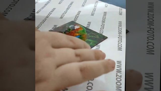 Фото магнит на виниловой основе смотреть онлайн