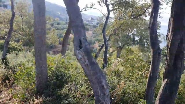 Άγιον Όρος; Ένα ασυνήθιστο φαινόμενο που ζήσαμε στον Άθω // Странное явление на Афоне смотреть онлайн
