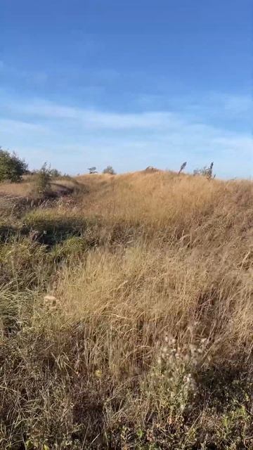 Тамбовский (Татарский) вал #история, #погода, #осень смотреть онлайн