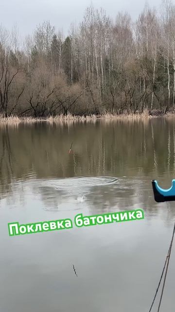 налимгустералещподлещик лучшаярыбалкарыбалканал?