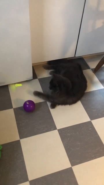 А мне по фен-шую))) смотреть онлайн