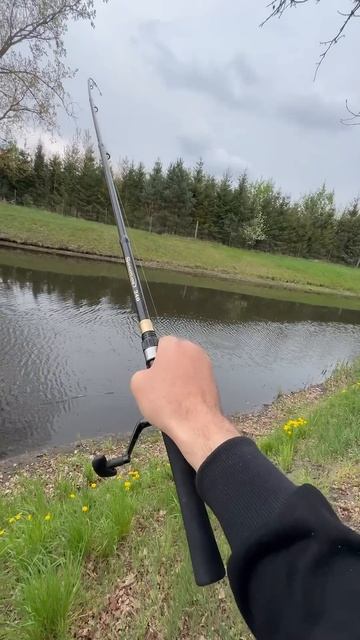 КАРПАТЫЧ🐟 как тянет эта рыба 😱 смотреть онлайн