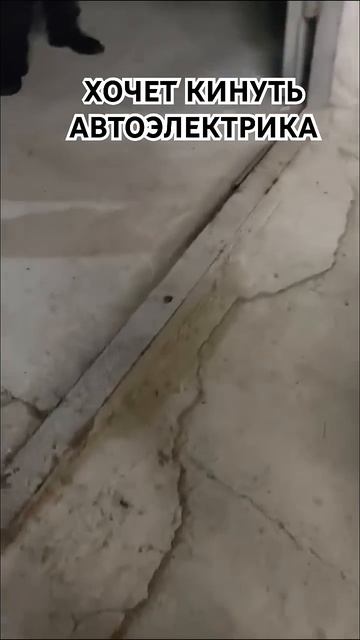 Жена выбивает деньги за своего мужа АВТОЭЛЕКТРИКА смотреть онлайн