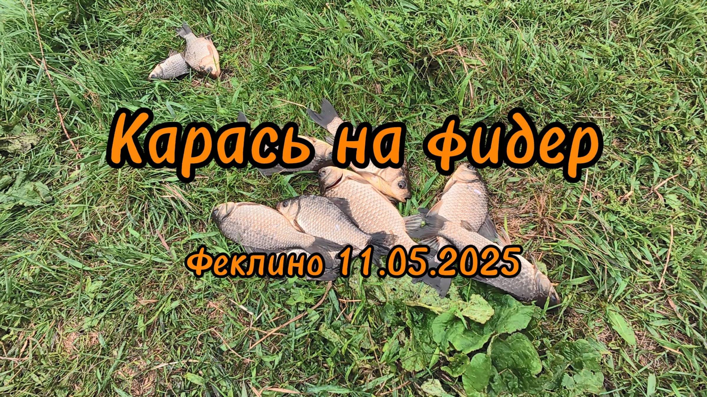 Летняя рыбалка Карась Ловля на фидер Весна 2025 смотреть онлайн