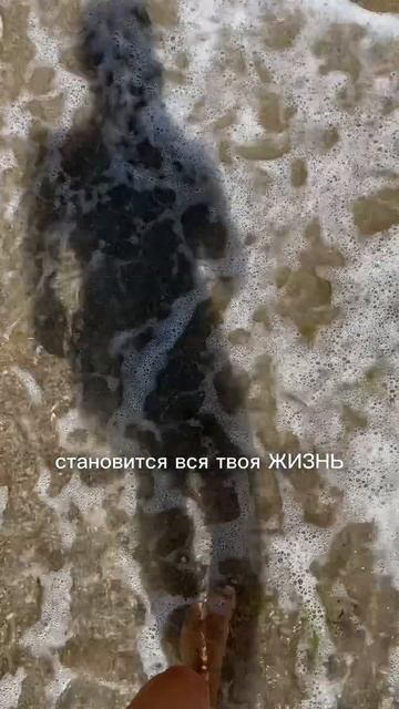 ЗАНИМАЙСЯ #любовь #любитьсебя #жизнь #вселенная #изоби? смотреть онлайн