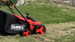 Аэрация и скарификация газона весной