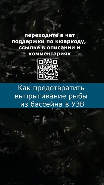 Как предотвратить выпрыгивание рыбы из бассейна в УЗВ смотреть онлайн