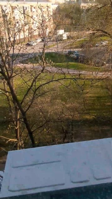 уже есть трава! #phonk #music смотреть онлайн