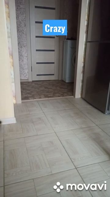 Феня #приколысживотными #животные #меконгскийбобтейл смотреть онлайн