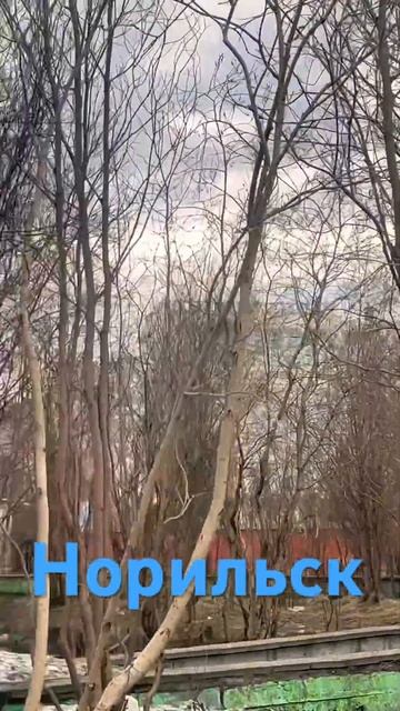 Памятник Первый Дом Норильска. 09.06.2024 #погода #красота # смотреть онлайн