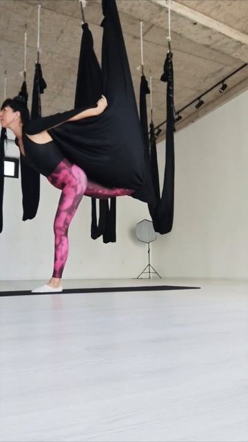 Ежедневная растяжка в гамаках, поможет привести тело ?