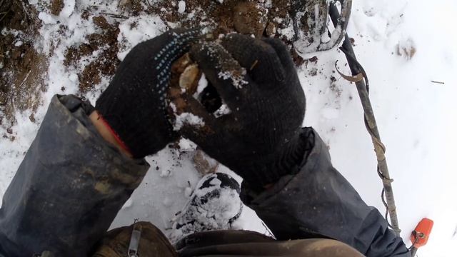 Зимний полевой выход 3,02,2025