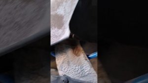 ваз 2109*замена сепаратора топливного бака