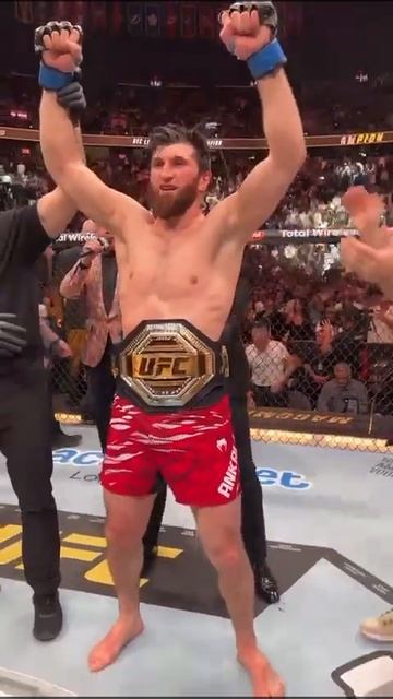 Магомед Анкалаев новый чемпион UFC в полутяжёлом весе смотреть онлайн