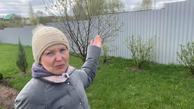 Готовимся к заморозкам#Опять все накрыли#26апреля2025