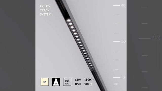 Светильник Maytoni TR031-2-18W4K-B