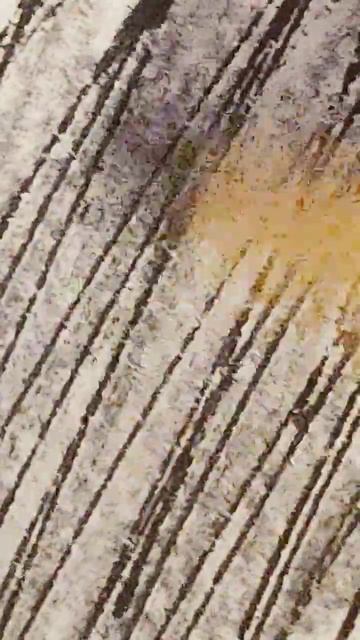 зайчик, Полина, кого дальше? Антон есть смотреть онлайн