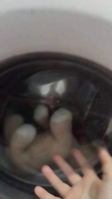 #подпишись #2024 #лайк #horse #шляйх #токабока смотреть онлайн