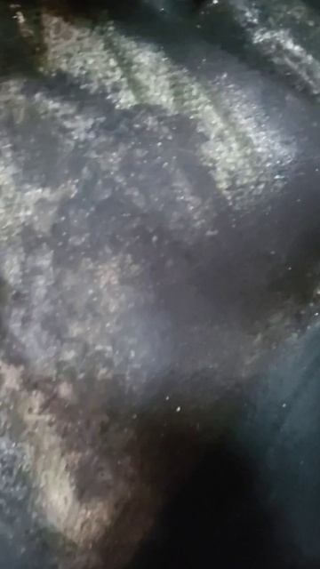 Пылесос тут не поможет😳 смотреть онлайн