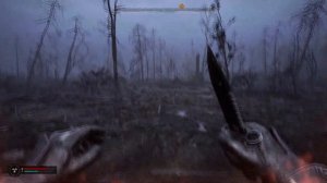 Сталкер 2 Аномалия Хлопушка