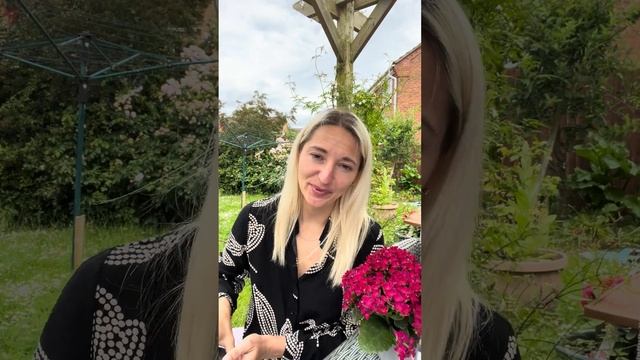 БЛИЗНЕЦЫ ТАРО ПРОГНОЗ на ИЮНЬ с 24-30 числа смотреть онлайн