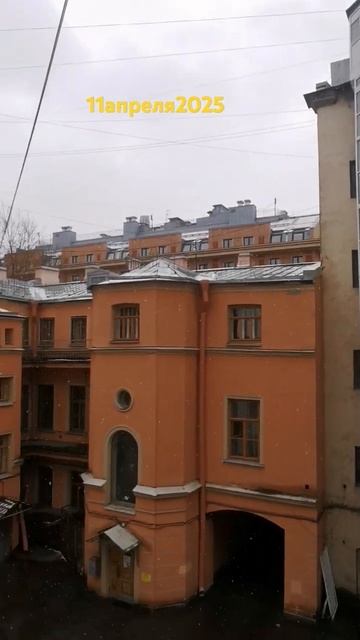 Аномальная погода в Петербурге// 11.04.2025 смотреть онлайн