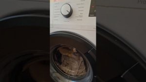 Загрузка бильё на стиральной машины Beko