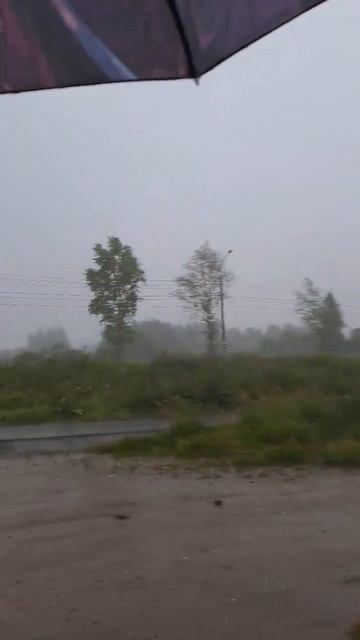 Вологда погода разбушевалась не на шутку. ⛈️ смотреть онлайн