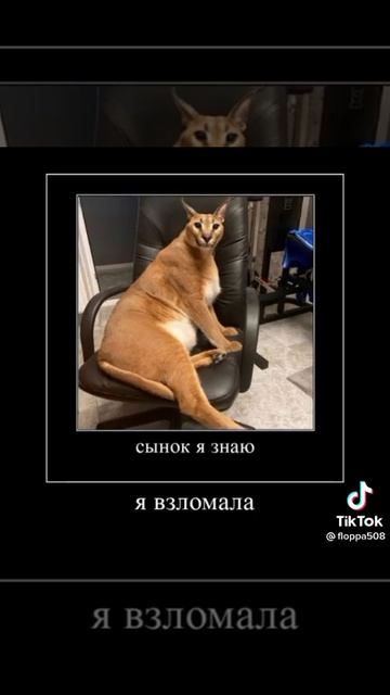 Норм Холодильник? смотреть онлайн