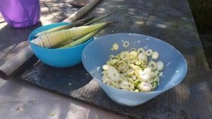 что можно готовит из бамбука { Суп салат )