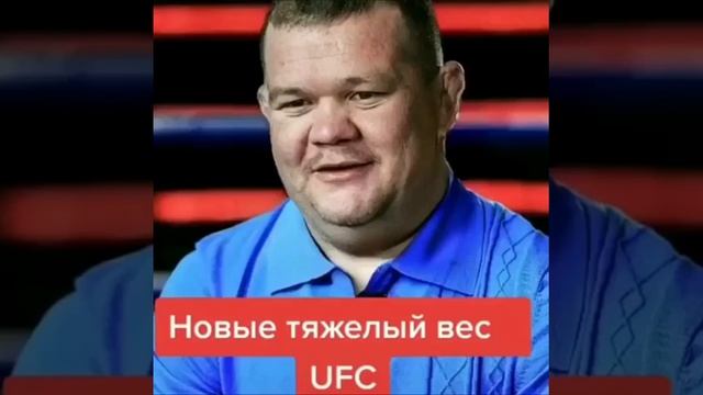 Тяжёлый вес UFC смотреть онлайн