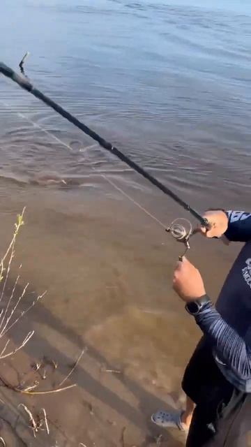 Валера молодец, умеет измерять вес рыбы ноги! #рек #хоч? смотреть онлайн