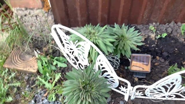 Ура, каникулы/ Забрали Настю со школы/ Влог смотреть онлайн