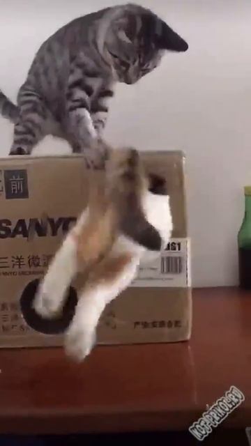 Кто то много ест смотреть онлайн