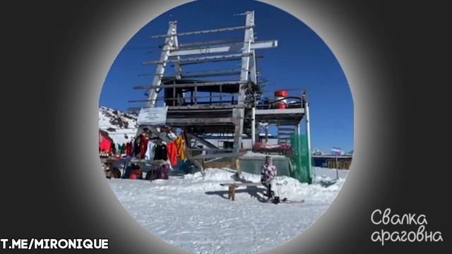 квадратноголовые продолжают делать дичь на эльбрусе смотреть онлайн