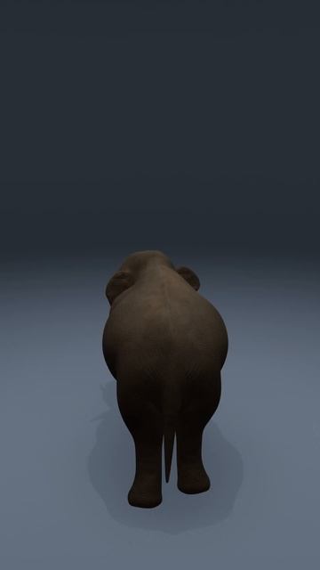 Слон в Blender 3D / 3Д / анимация / elephant / modeling / модель / бленде смотреть онлайн