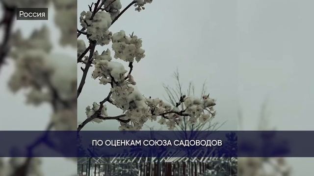Погода против человечества: ураган в Китае, жара в Сиб? смотреть онлайн